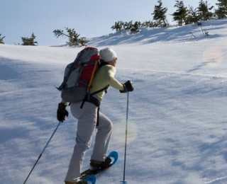  3 个山谷的雪鞋健行 
